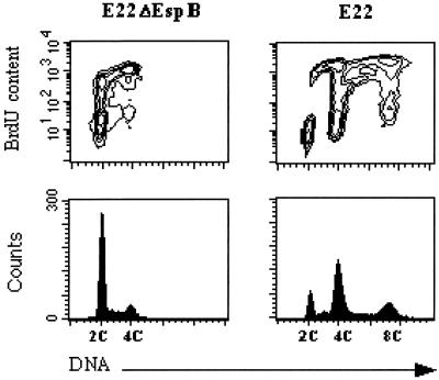 FIG. 6