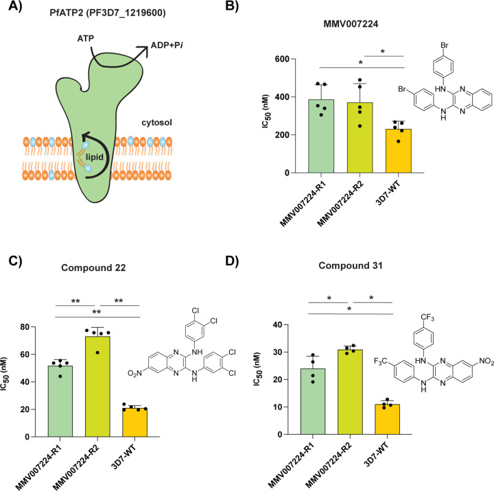 Figure 4: