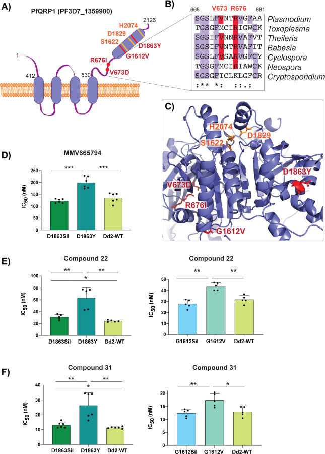 Figure 3: