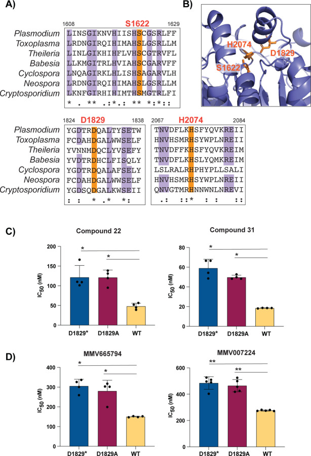 Figure 5: