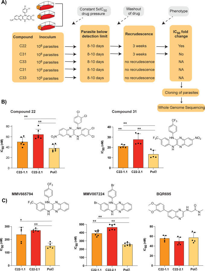 Figure 2: