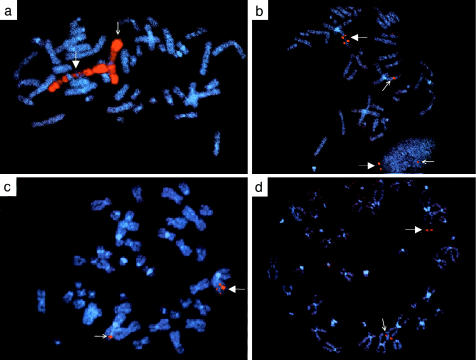 Figure  2