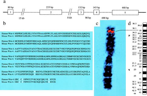 Figure  1