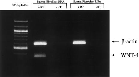 Figure  3