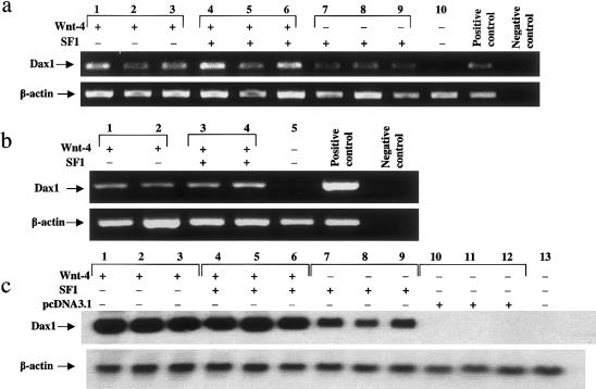 Figure  4