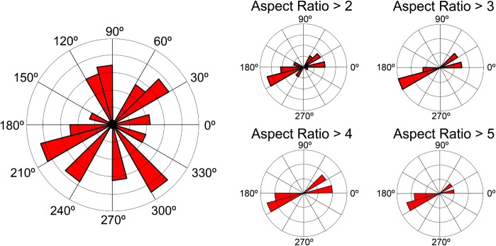 Fig 40