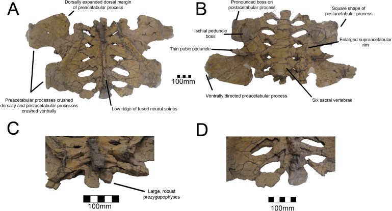 Fig 11