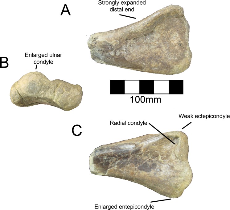 Fig 21