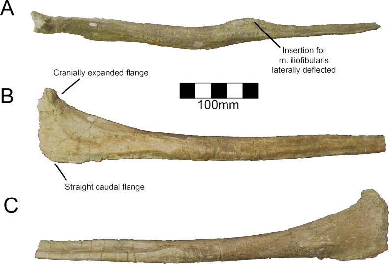 Fig 34