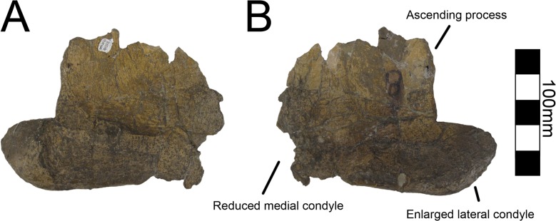 Fig 35