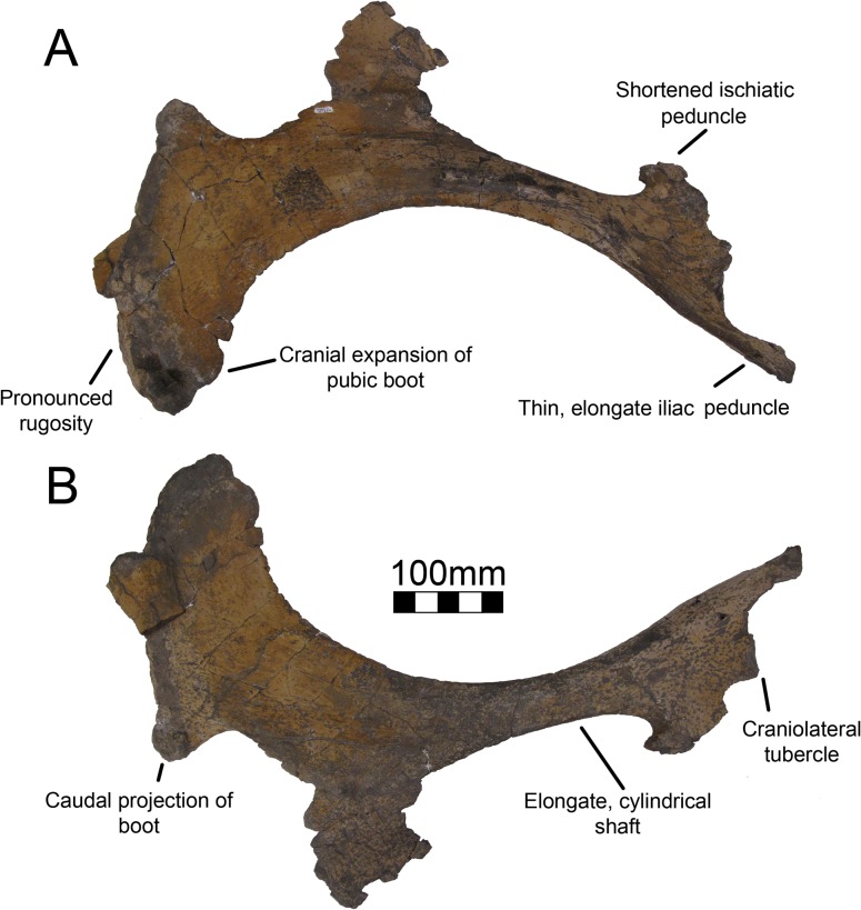 Fig 27