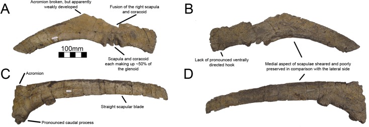 Fig 18