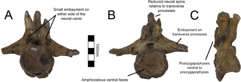 Fig 13