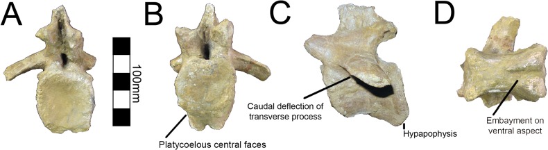 Fig 12