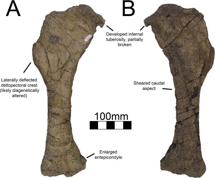 Fig 22