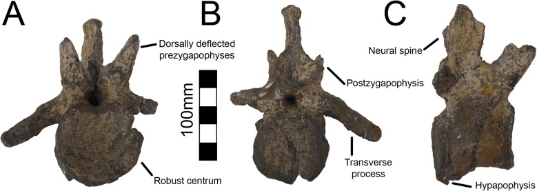 Fig 14