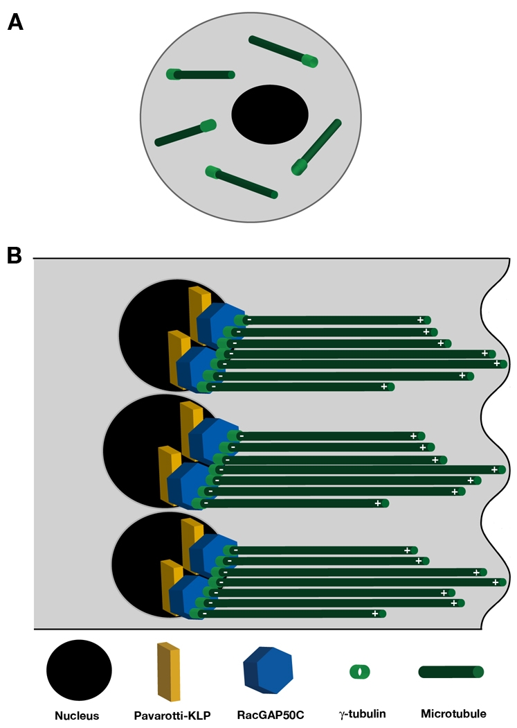 Fig. 9.