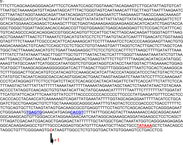 Figure 6