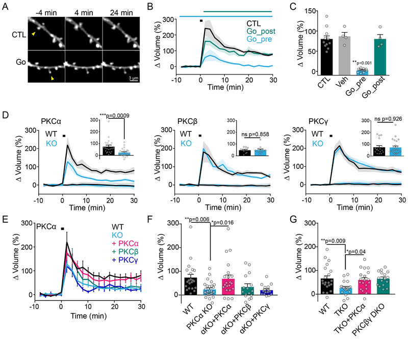 Fig. 3: