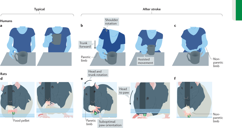 Figure 2 |