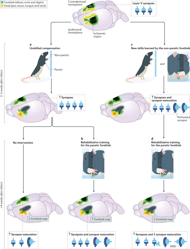 Figure 3 |