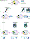 Figure 3 |