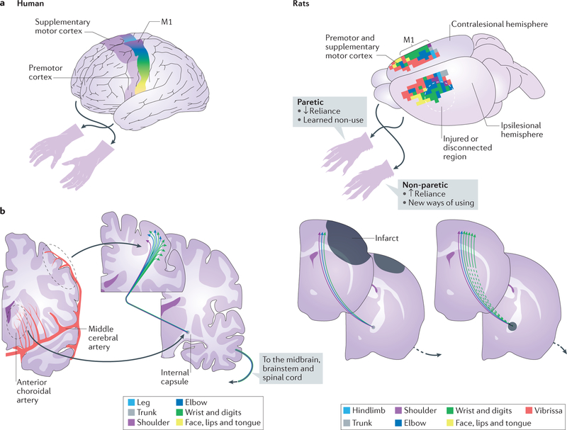 Figure 1 |