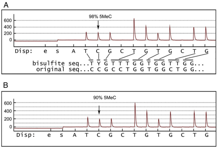 Figure 7