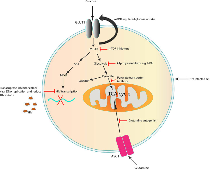 Figure 2