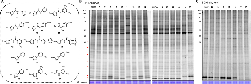 Figure 3.