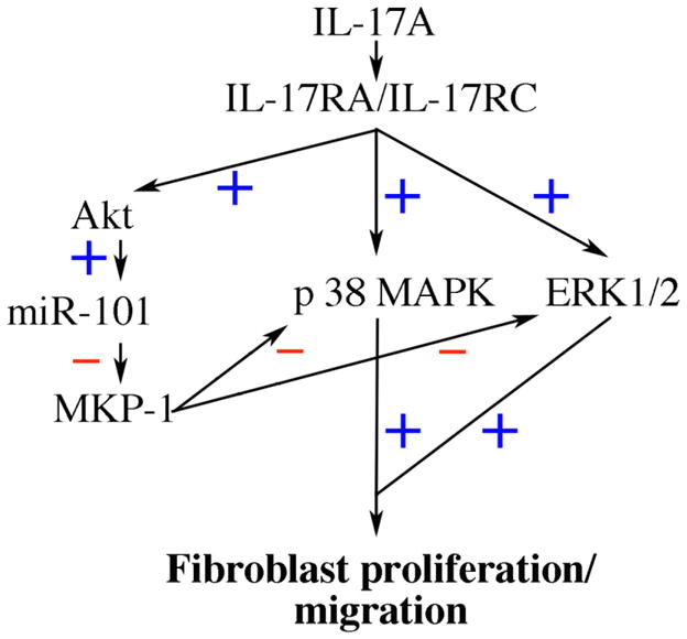 Fig. 8