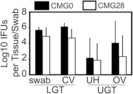 FIG 5