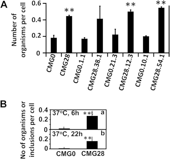 FIG 1