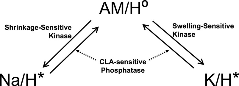 Fig. 9.