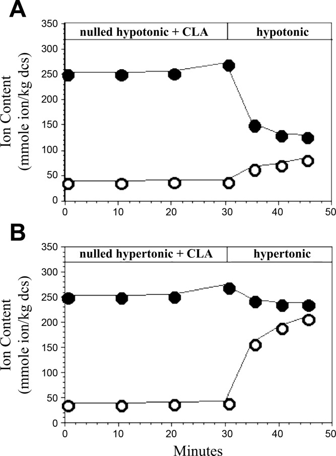 Fig. 8.