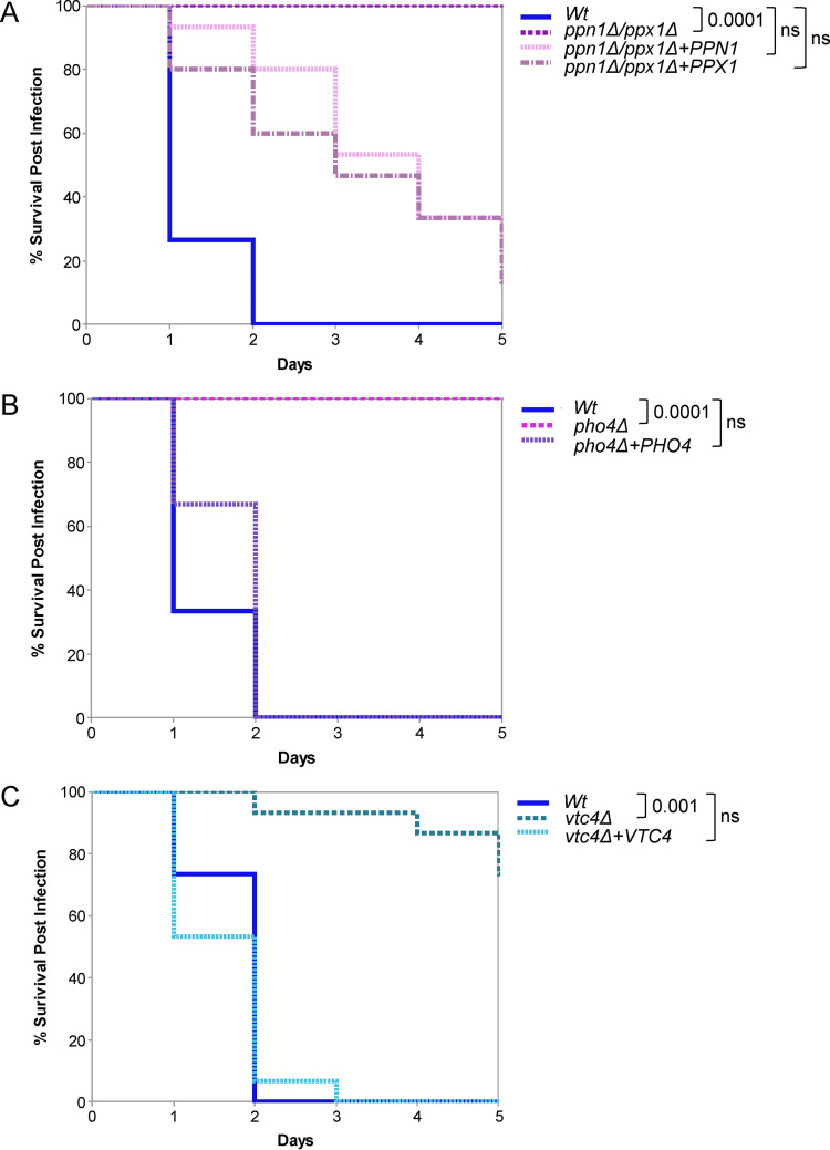 FIG 6