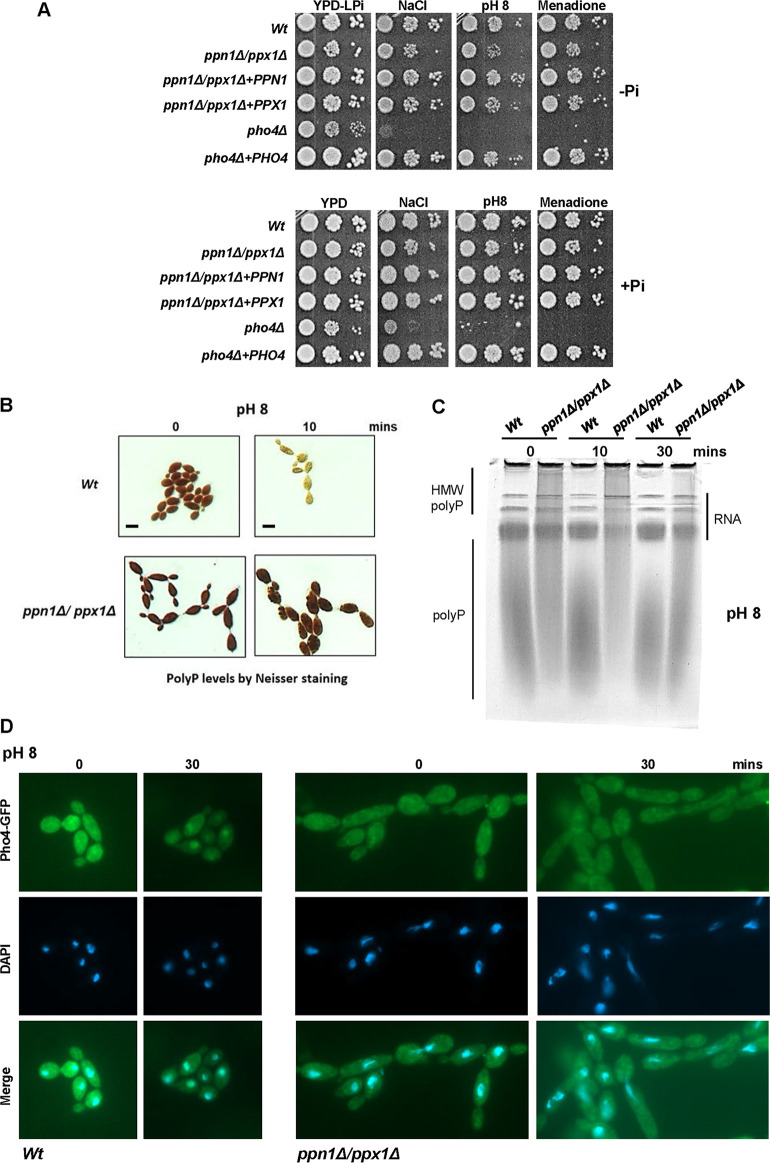 FIG 3