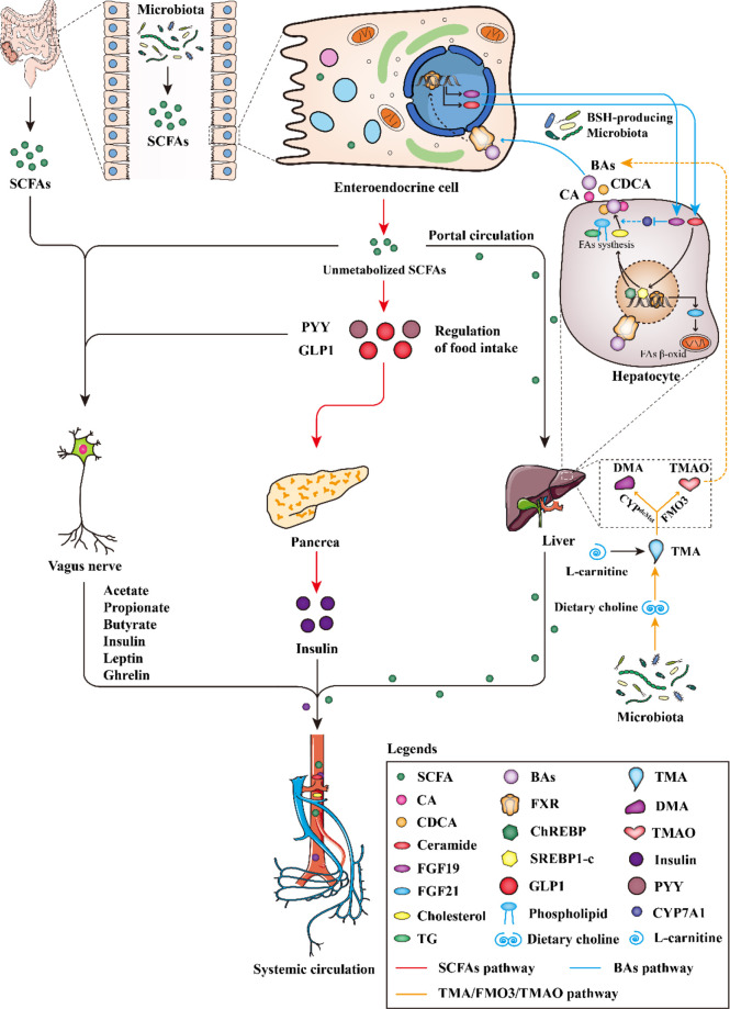 Figure 3