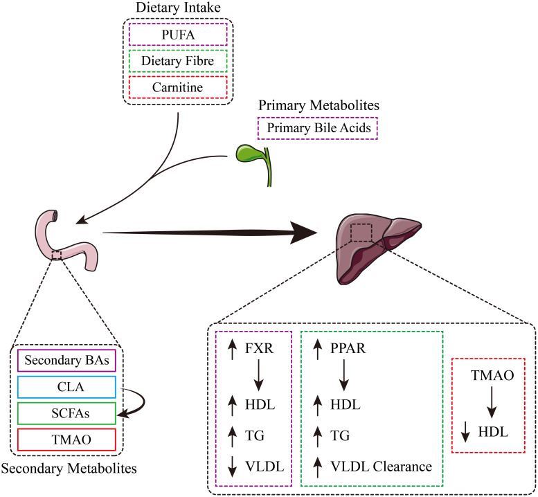 Figure 2