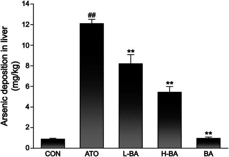 Figure 11.