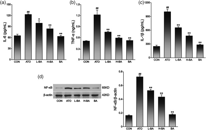 Figure 6.