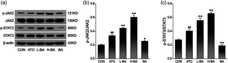 Figure 10.