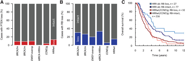 Figure 5. PTEN and RB loss in HGSOC. A, Frequency of loss of PTEN protein expression across HRR-centric subtypes. B, Frequency of loss of RB protein expression across HRR-centric subtypes. C, Impact of RB loss on survival in patients based on HRR status. Multivariable hazard ratio (mHR) for HRR-ab: RB loss vs. HRR-ab RB-intact = 0.50; 95% CI, 0.30–0.84; mHR for HRRwt/CCNE1g: RB loss vs. HRRwt/CCNE1g: RB-intact = 0.71; 95% CI, 0.48–1.06. BRCA2m, BRCA2 mutant; BRCA1m, BRCA1 mutant; EMSY-overxp; overexpression of EMSY; nBRCA-HRRm, non-BRCA1/2 HRR gene mutation; CCNE1g, gain of CCNE1; HRRwt, non-CCNE1g HRR wild-type. HRR-ab, HRR-aberrant: BRCA1m, BRCA2m, EMSY-overxp, or nBRCA-HRRm.