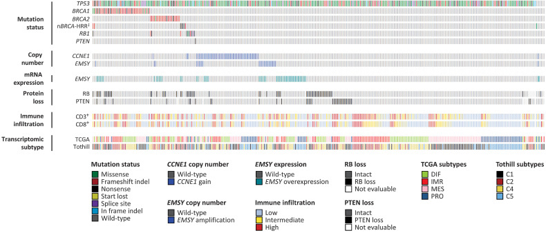 Figure 1. Molecular landscape of HGSOC. 1Mutation in non-BRCA1/2 HRR genes: 3 BRIP1, 2 CHEK2, 1 RAD51C, 1 PALB2, 1 concurrent BAP1, and NBN. CCNE1 CN gain, ≥4 copies by TaqMan CN assay. EMSY CN amplification, ≥6 copies by TaqMan CN assay.