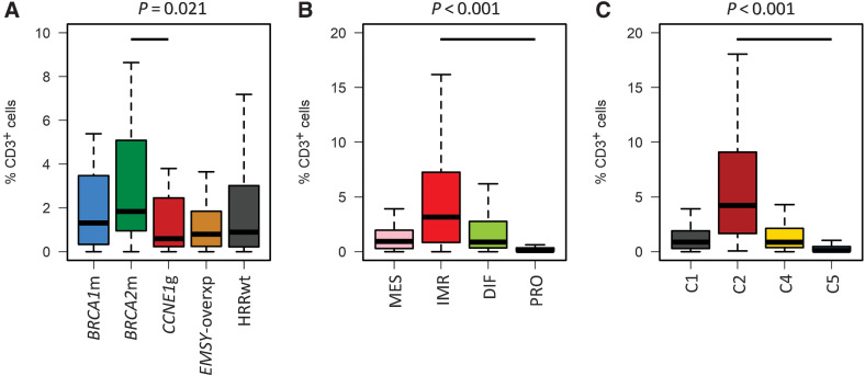 Figure 4. Tumor-infiltrating immune cells across high-grade serous carcinoma subtypes. A, CD3+ infiltration across HRR-centric subtypes; labeled P value represents comparison of BRCA2m and CCNE1g groups using the Mann–Whitney U test. B, CD3+ infiltration across TCGA transcriptomic subtypes; labeled P value represents comparison of IMR and PRO groups using the Mann–Whitney U test. C, CD3+ infiltration across Tothill transcriptomic subtypes; labeled P value represents comparison of C2 and C5 groups using the Mann–Whitney U test. BRCA2m, BRCA2 mutant; BRCA1m, BRCA1 mutant; EMSY-overxp; overexpression of EMSY; CCNE1g, gain of CCNE1; HRRwt, non-CCNE1g HRR wild-type.