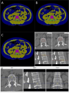 Fig. 2