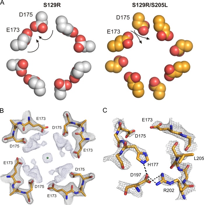 FIGURE 3.