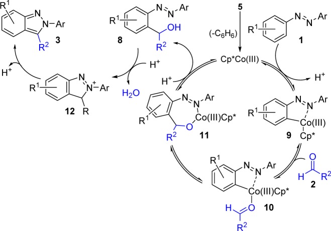 Scheme 6