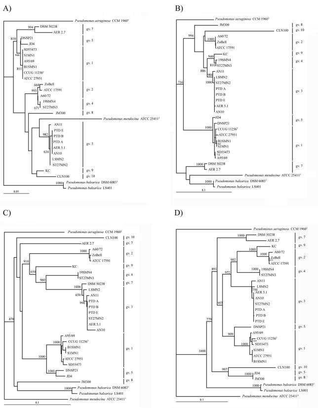 FIG. 2.