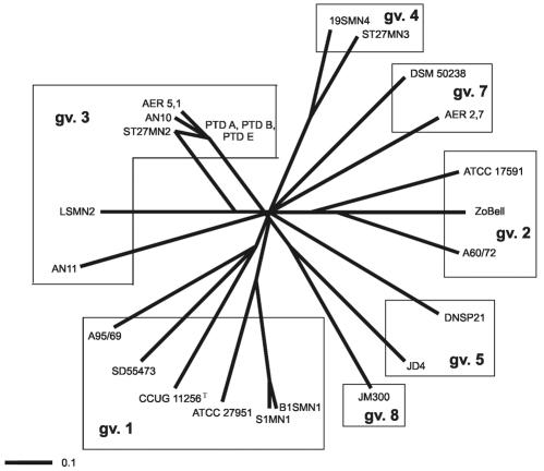 FIG. 1.